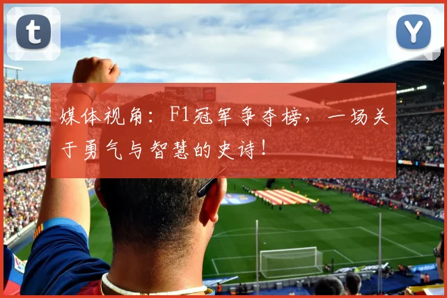 媒体视角:F1冠军争夺榜,一场关于勇气与智慧的史诗!